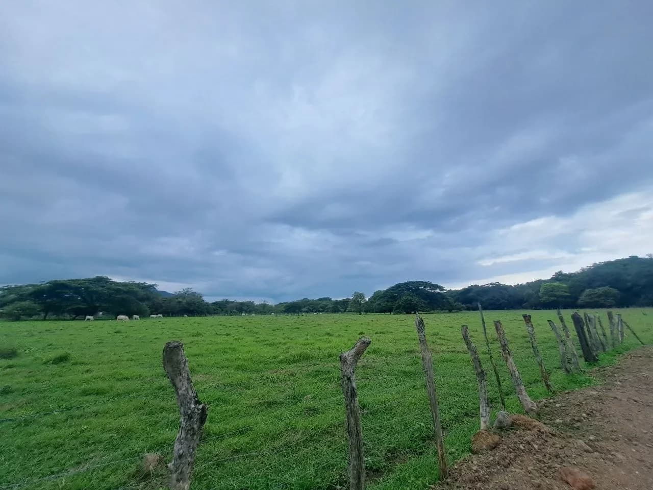 Plot of 1.5 HA in La Garita Vieja, Tamarindo