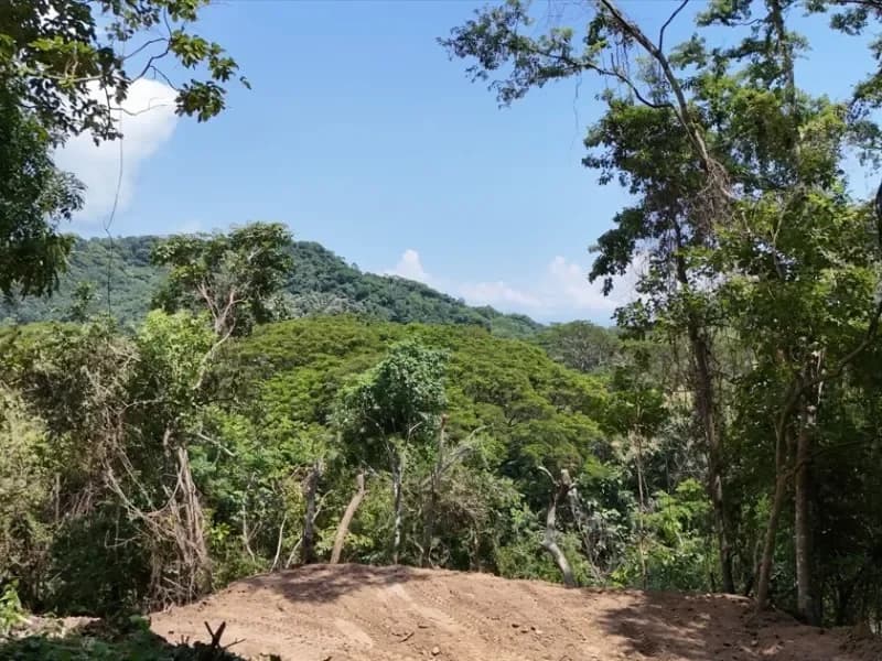 Pajaros development: Dream lots for sale Paquera Puntarenas