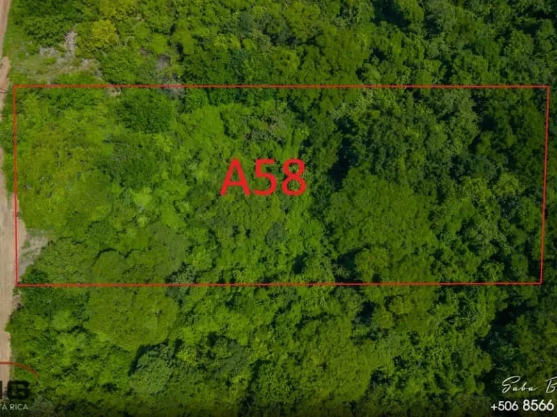 Lot A58 in gated community “Eco Development” 5000 m² residential lot – Playa Lagarto