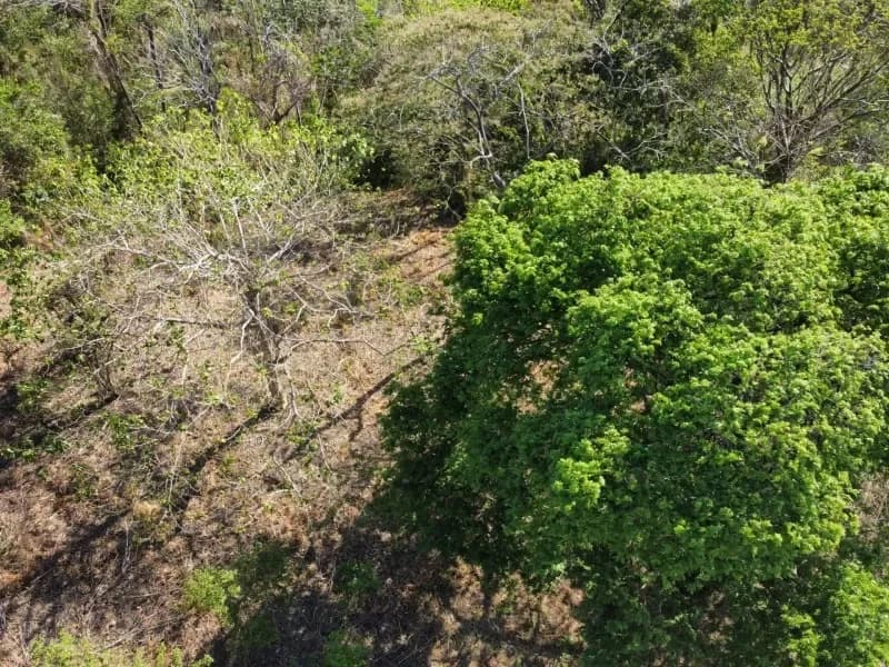 Condo 40 at The Oaks